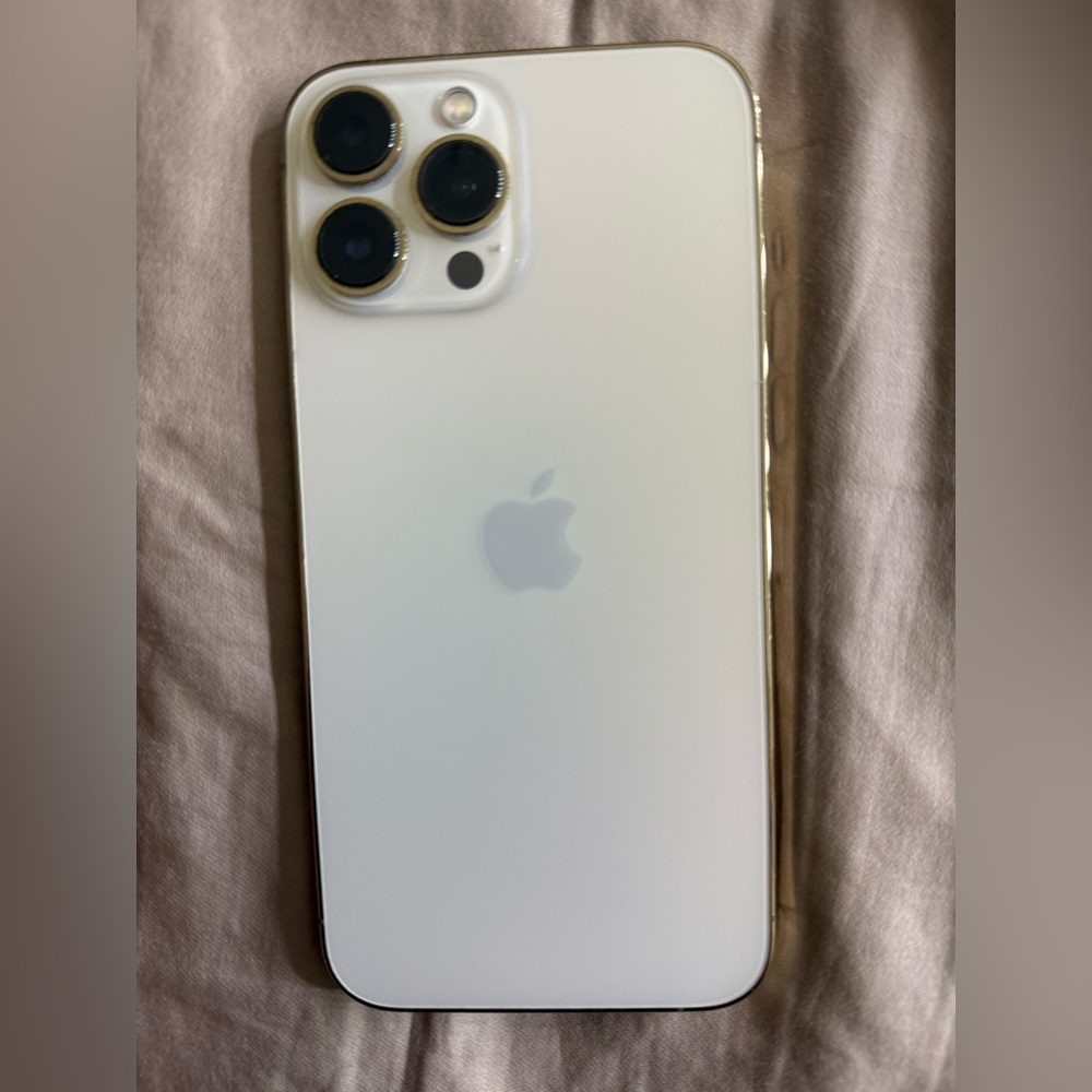 iPhone 13 Pro Max